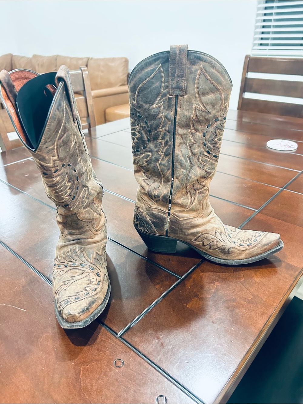 Dan Post Brown Distressed and Embroidered Western Heeled Boots